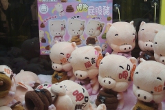 Crane game prizes