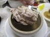 Pig brain