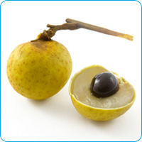 Longan